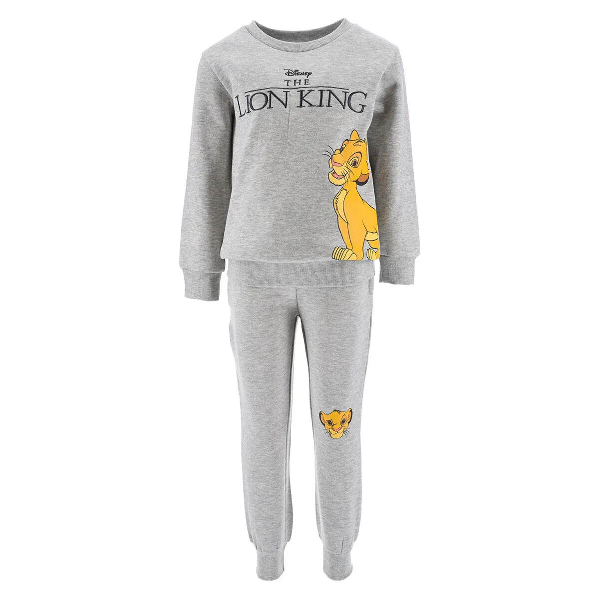 ENSEMBLE JOGGING ROI LION