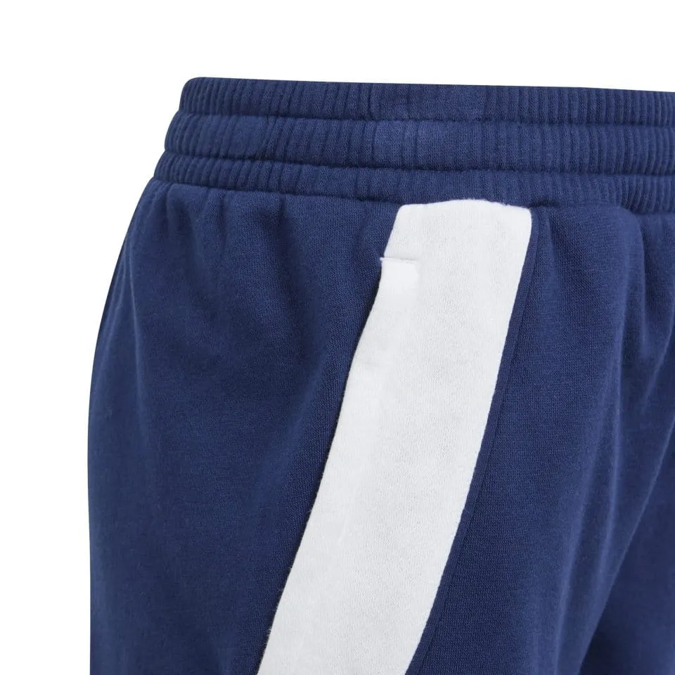 Pantalón adidas TIRO24 SWPNTY