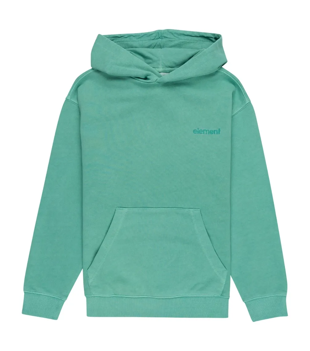 Sudadera ELEMENT Cornell 3.0  Otlr Gkk0 - Lagoon - solid